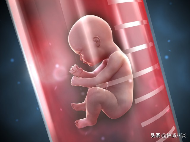 试管婴儿费用大概要多少钱_试管婴儿费用_试管婴儿成功率