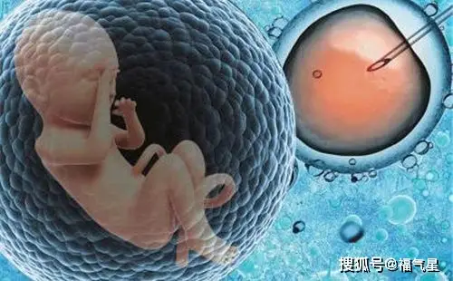 一代二代三代试管婴儿技术选择_试管婴儿和正常孩子一样吗_辅助生殖技术原理对比