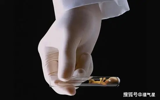 试管婴儿和正常孩子一样吗_一代二代三代试管婴儿技术选择_辅助生殖技术原理对比
